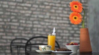 Telmo Deli