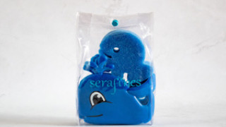 Proyecto Serafines