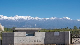 Finca Sophenia
