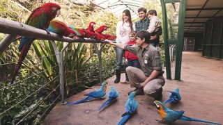 Bioparque Temaikén