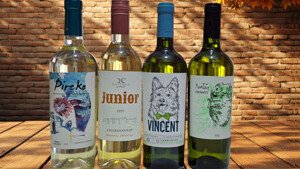 Blend Vinos