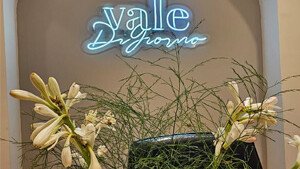 Valeria Di Giorno