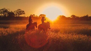 Esencia Ecuestre Punta Indio