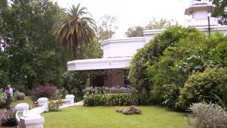 La Mimosa