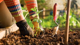 GERMINAR