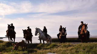 Esencia Ecuestre Punta Indio