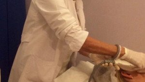 Dermoestética Clinic