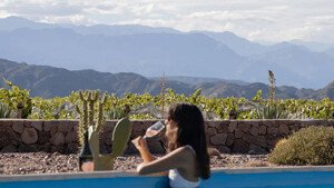Bodega y Casa de Huéspedes Chañarmuyo