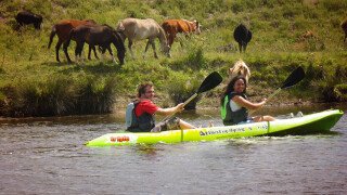Kayak para 2 por el Río Quequen Salado